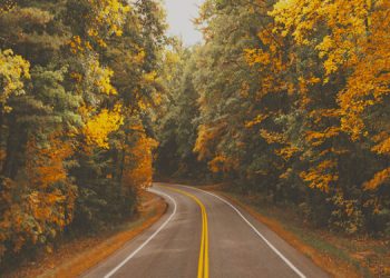 AAA