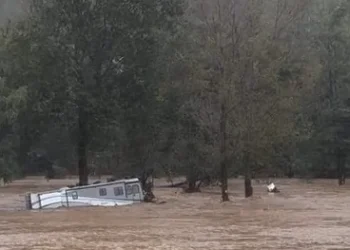 Buck Hill Family Campground in Avery County