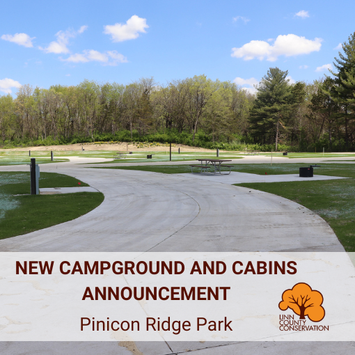 Iowa County Set to Open New Campground & Cabins June 12 - Woodall's ...