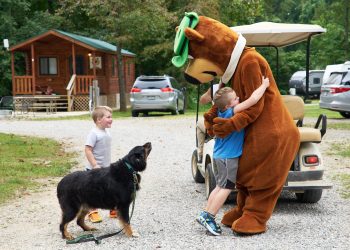 Jellystone Dog