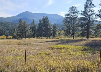 Montana RV Park