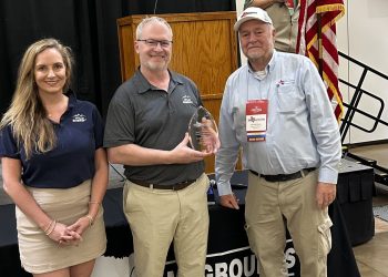 Wild Energy