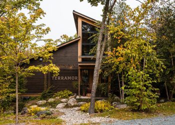 Terramor