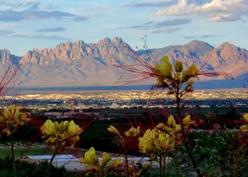 Las Cruces KOA Holiday