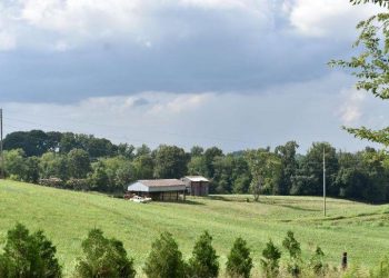 Tennessee Development