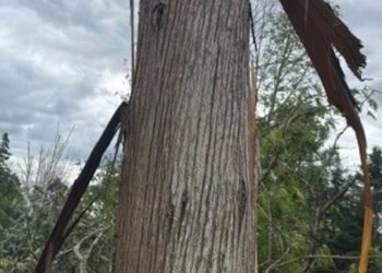 Tornado