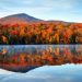 Fall Foilage 2