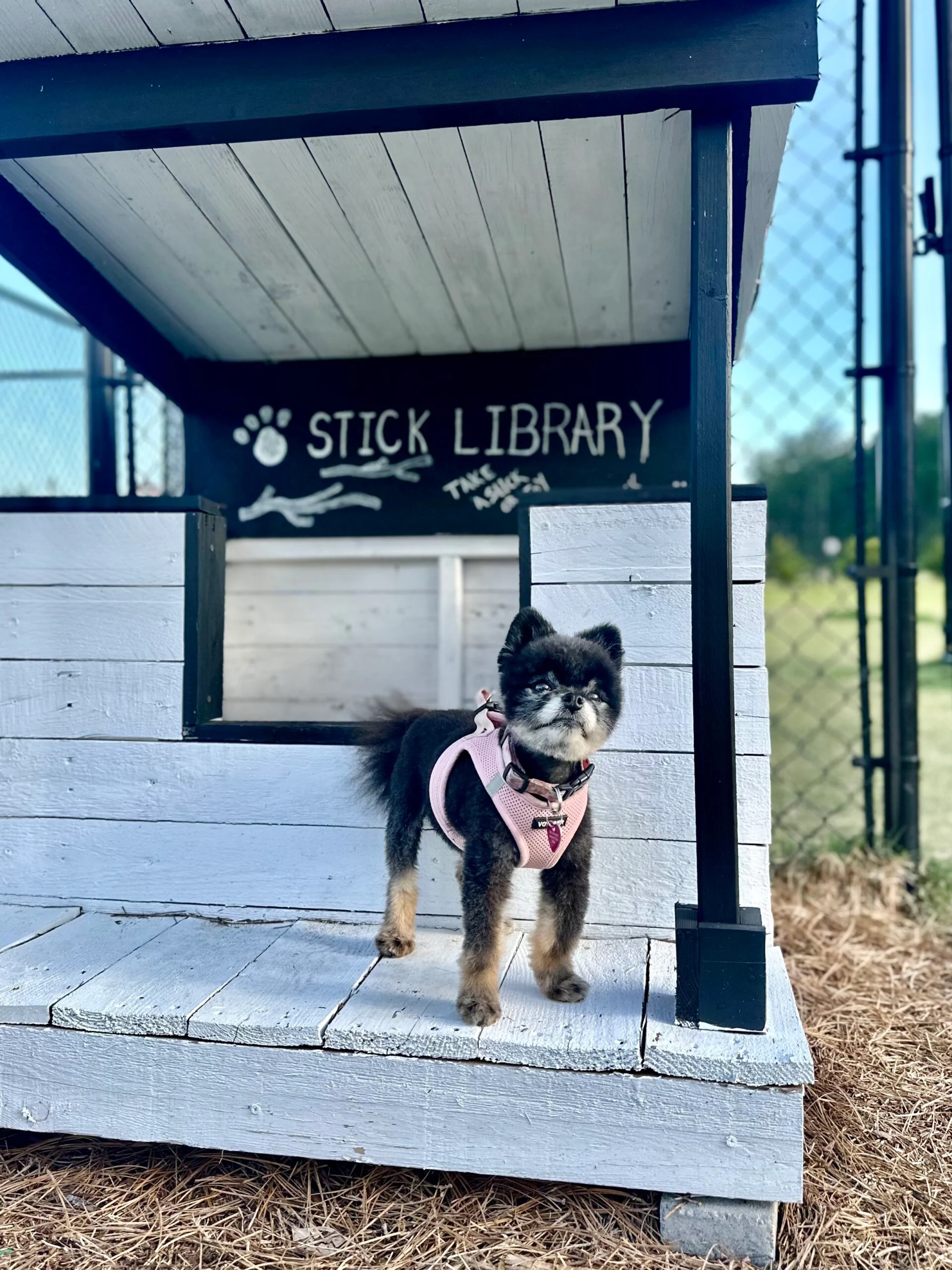 Savannah Lakes Dog Friendly