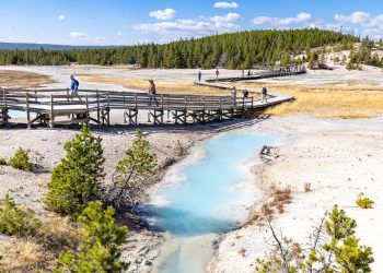 Yellowstone Boardwalk